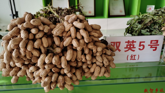 A149C734-F1D9-47F1-B9B5-3043D37AD4F9