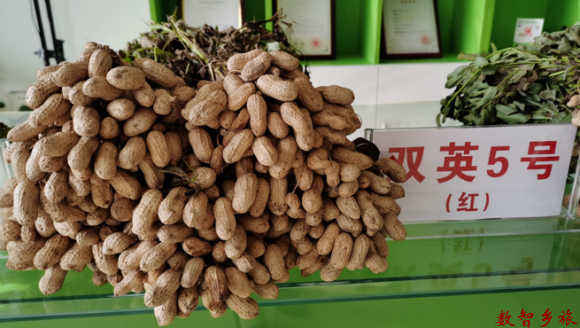 A149C734-F1D9-47F1-B9B5-3043D37AD4F9