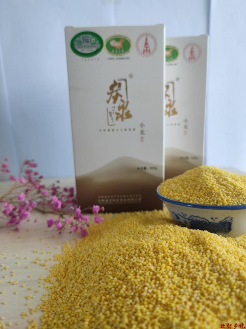 d5cf9226ea3011c5fe7dd9f3d954c02