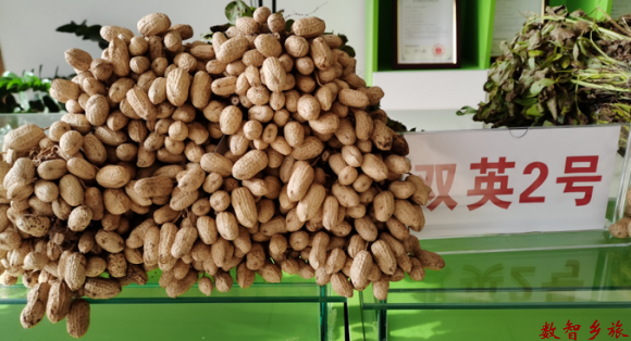 5F175D4B-A262-4D5C-B965-C3C86DD0B56E