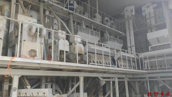 mmexport1691727775130