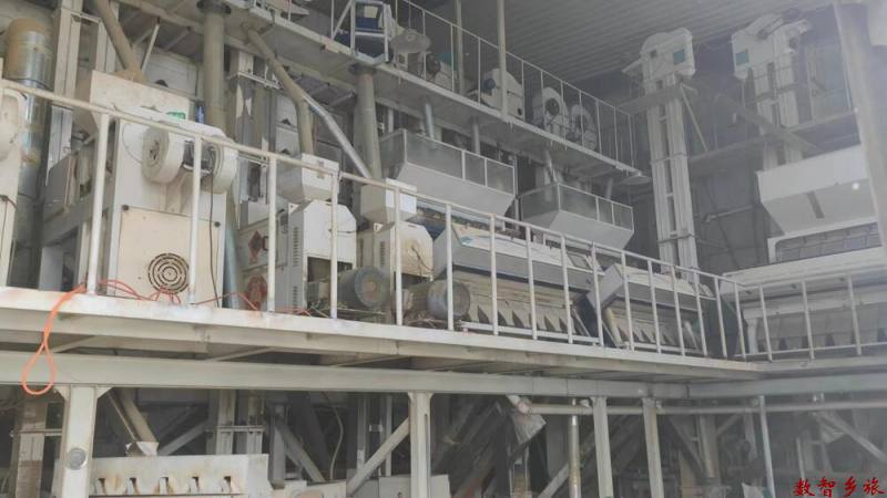 mmexport1691727775130