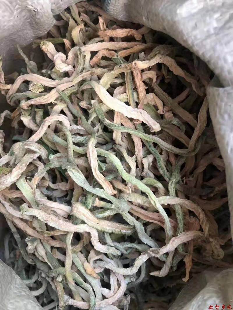 mmexport1691727997006