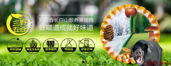 QQ截图20230811140615