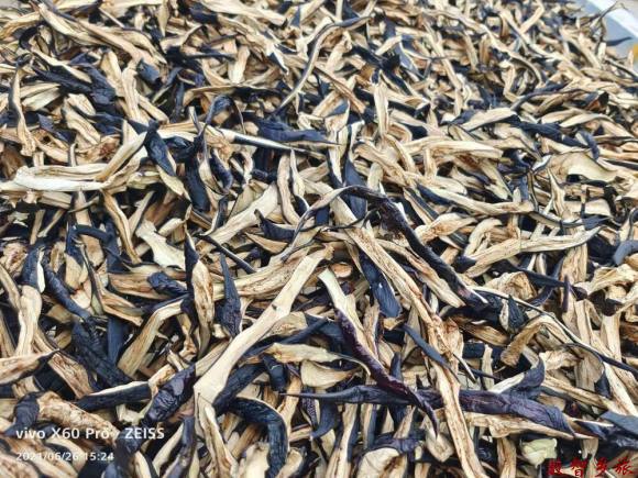 mmexport1691728000826