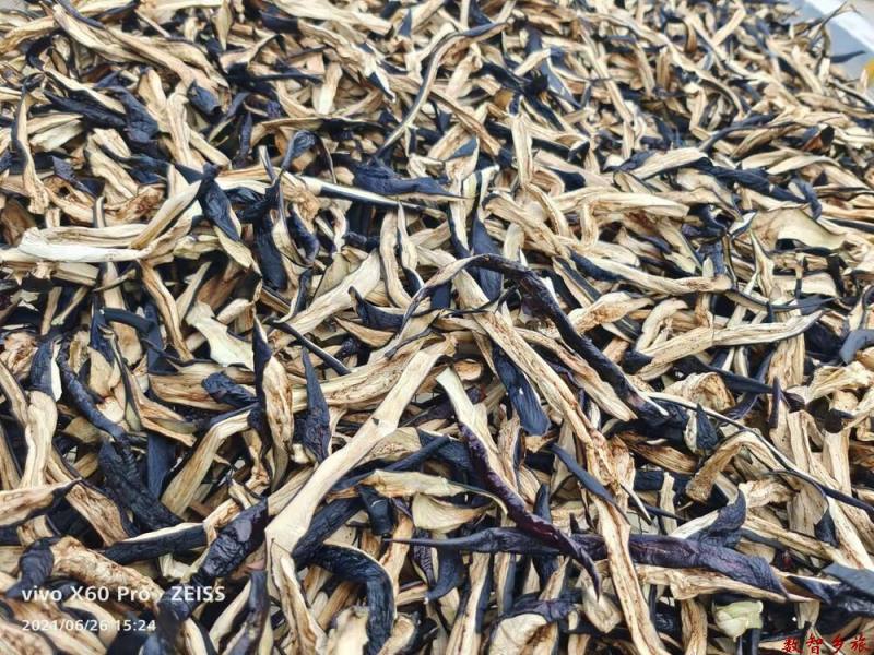 mmexport1691728000826