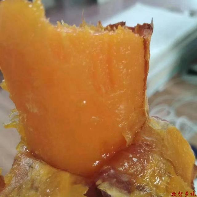 微信图片_20230707105704