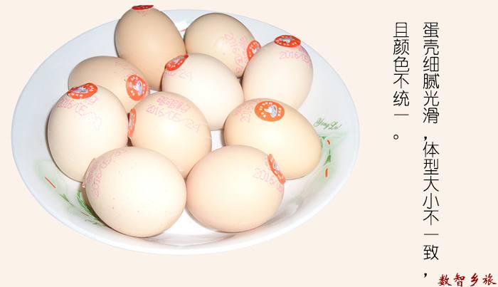 mmexport1691745088245