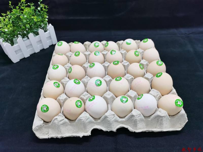 mmexport1691745622820