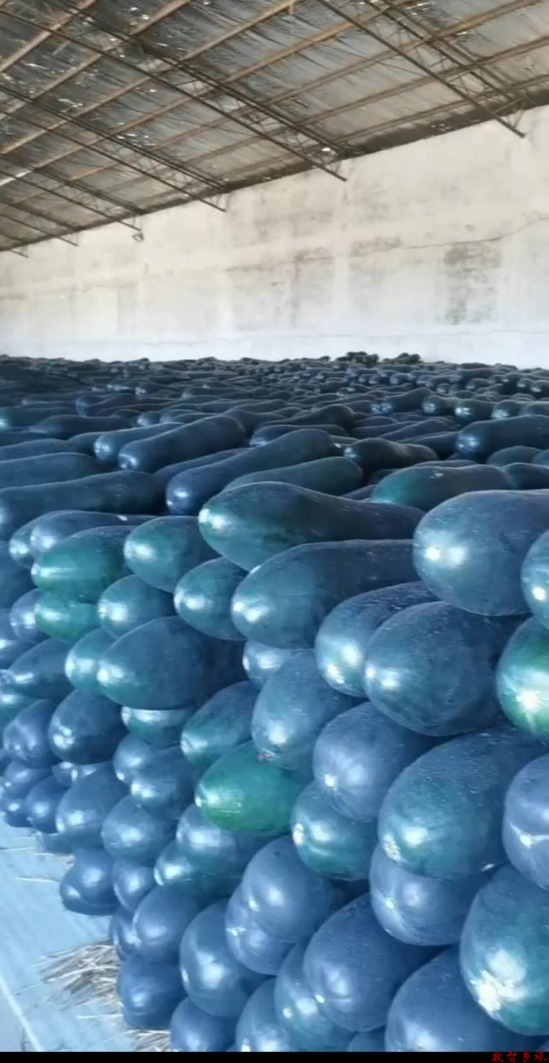 Screenshot_20230811_180321