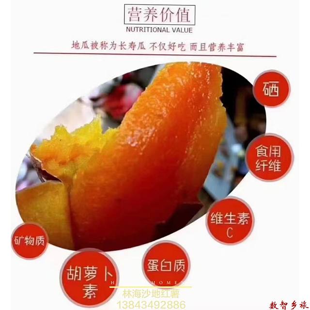 微信图片_20230707105913