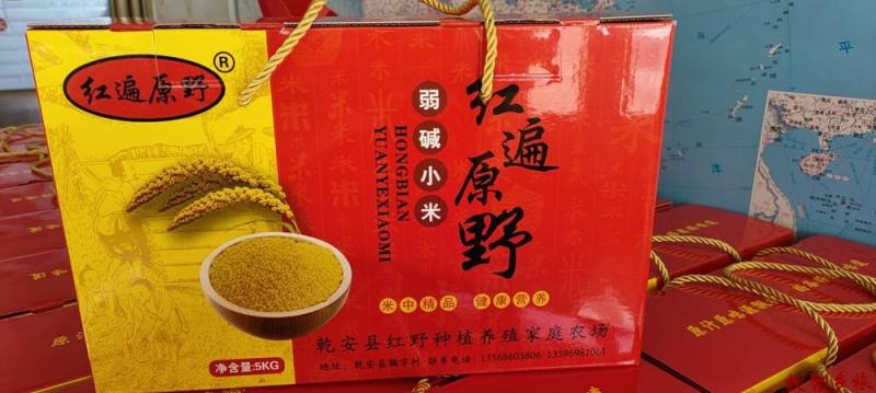 wx_camera_1667272394558