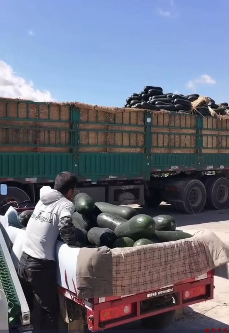 Screenshot_20230811_180215