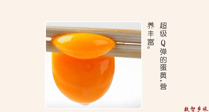 mmexport1691745091527