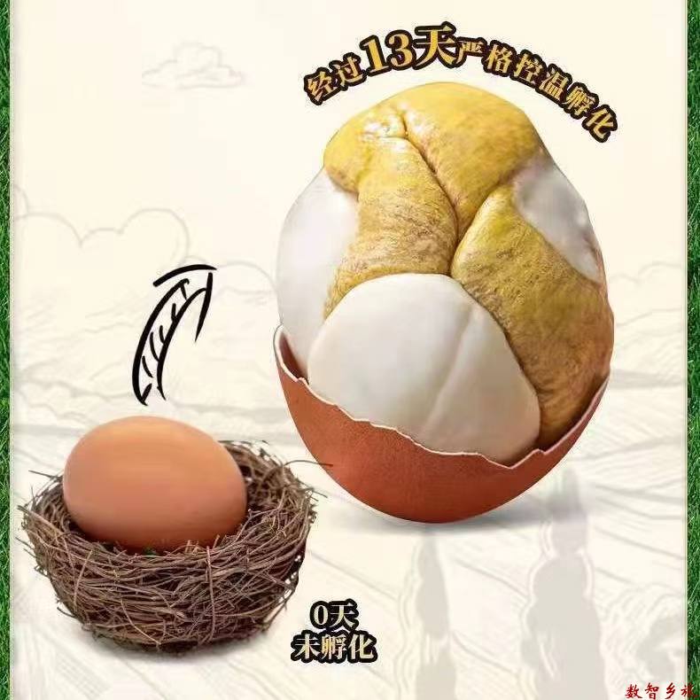 0efaa30d3954e4846e42ad13ababc22