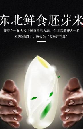 423e74f1eb5108c92fec499b1e3aba80