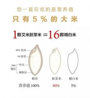 b4dc585e1405258de8667aa55336d26a