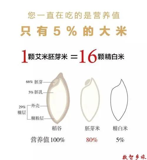 b4dc585e1405258de8667aa55336d26a