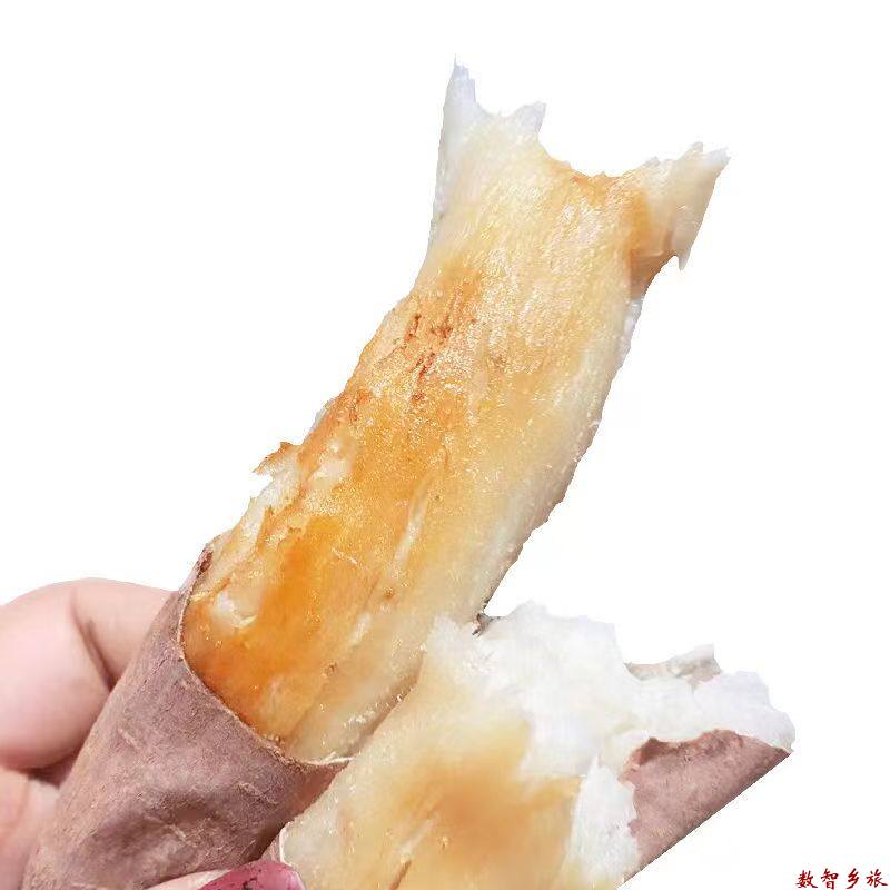 3b2207e844c4741a8ff0c7a70d558b3