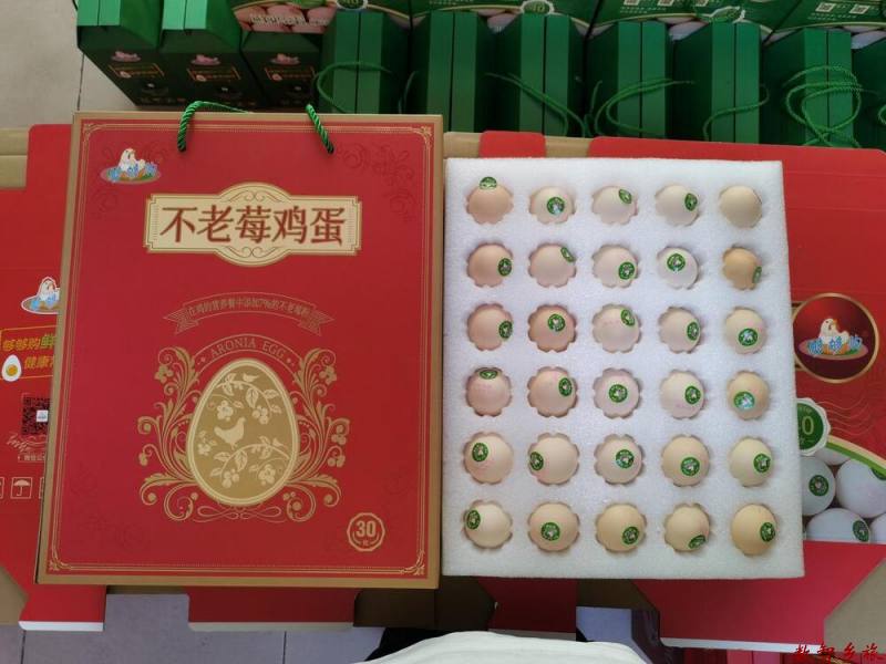 mmexport1691745618362