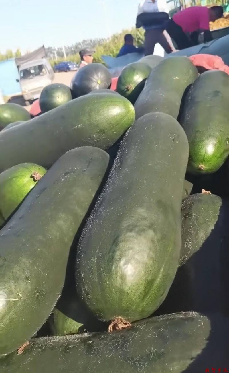 Screenshot_20230811_180120