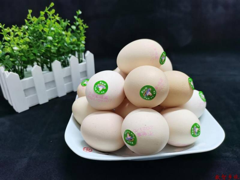 mmexport1691745626512