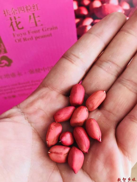 AFAD22CE-9FA6-45BF-A603-E7E1B12D76E0