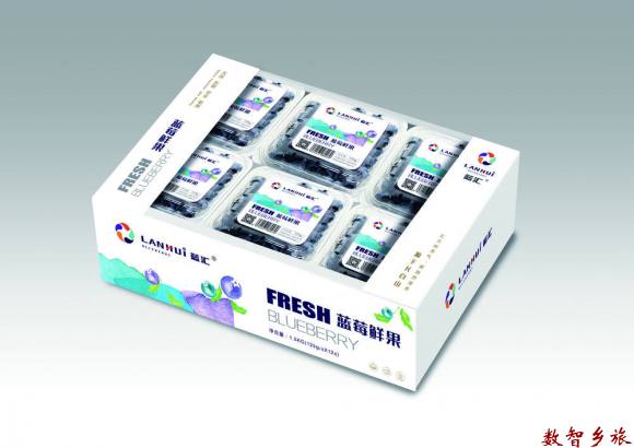 蓝莓鲜果托盘
