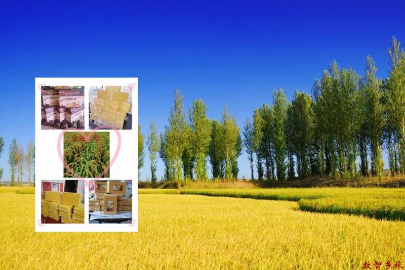 种植地_20230811072524