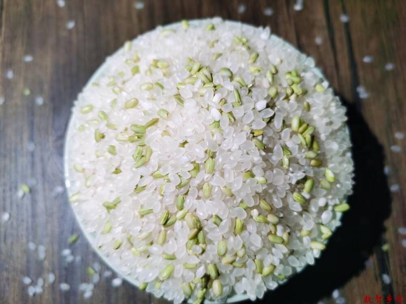 3、功能性稻米研发+(1)