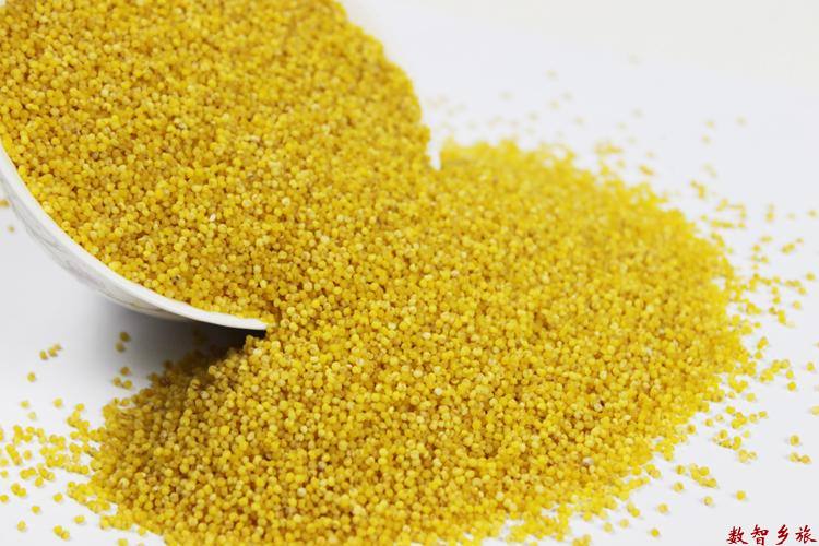 微信图片_20221207121227