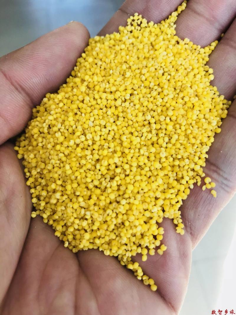 B986A0A2-BAAF-4DB0-8BBD-CE6C944290E2