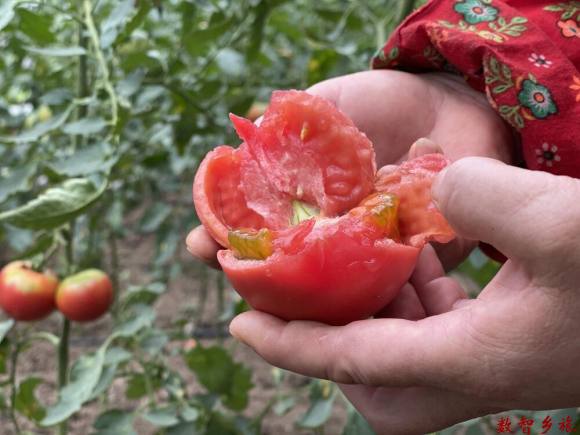 73DBA418-22DF-4314-A6AB-EE59456CF951