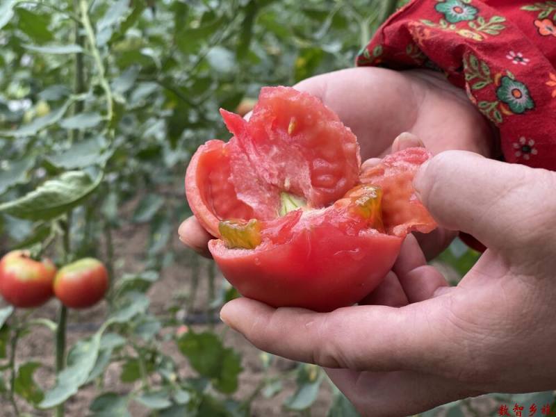 73DBA418-22DF-4314-A6AB-EE59456CF951