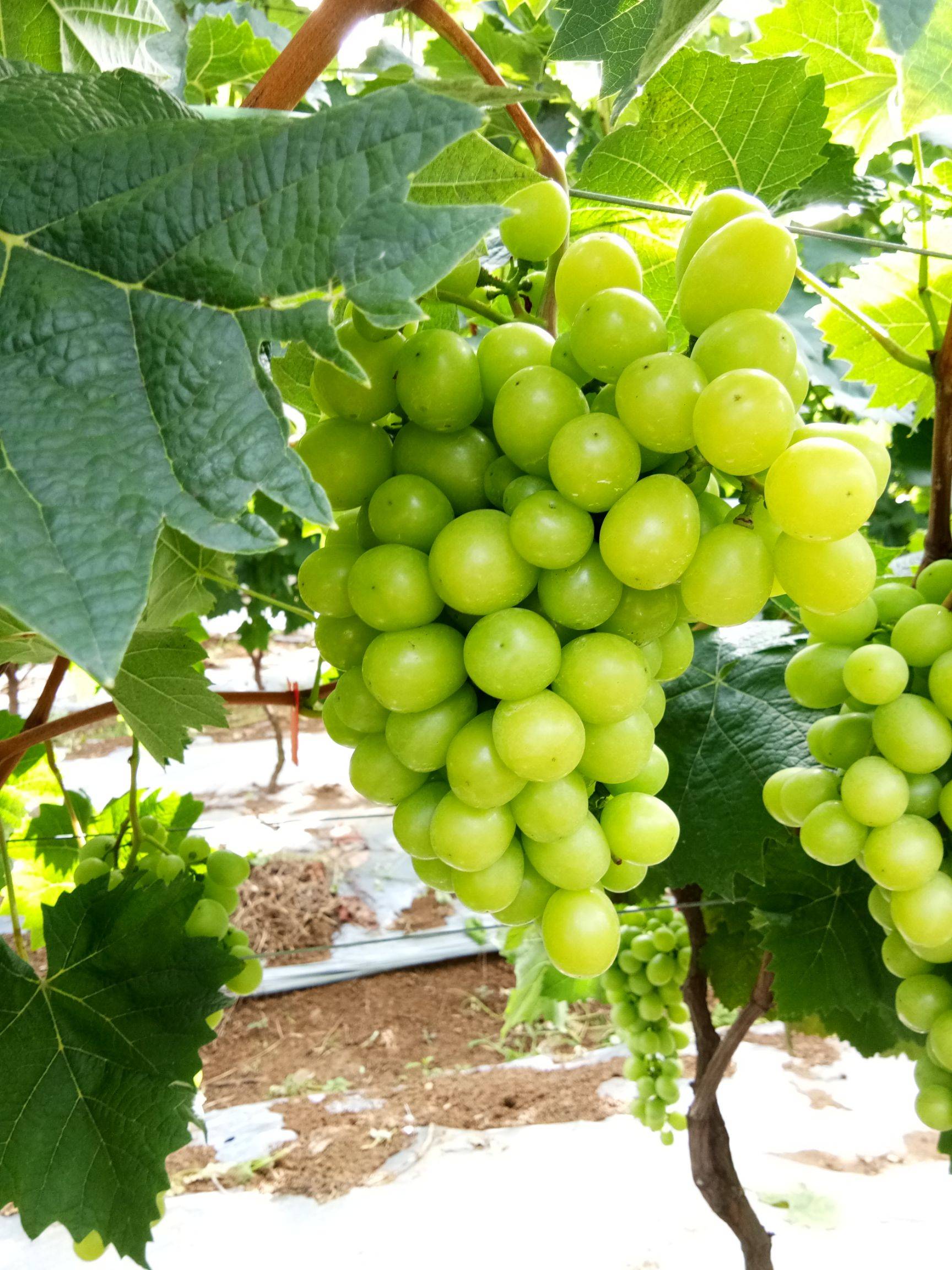 fb3f5e158776490ebb45bf8a82adb5e2