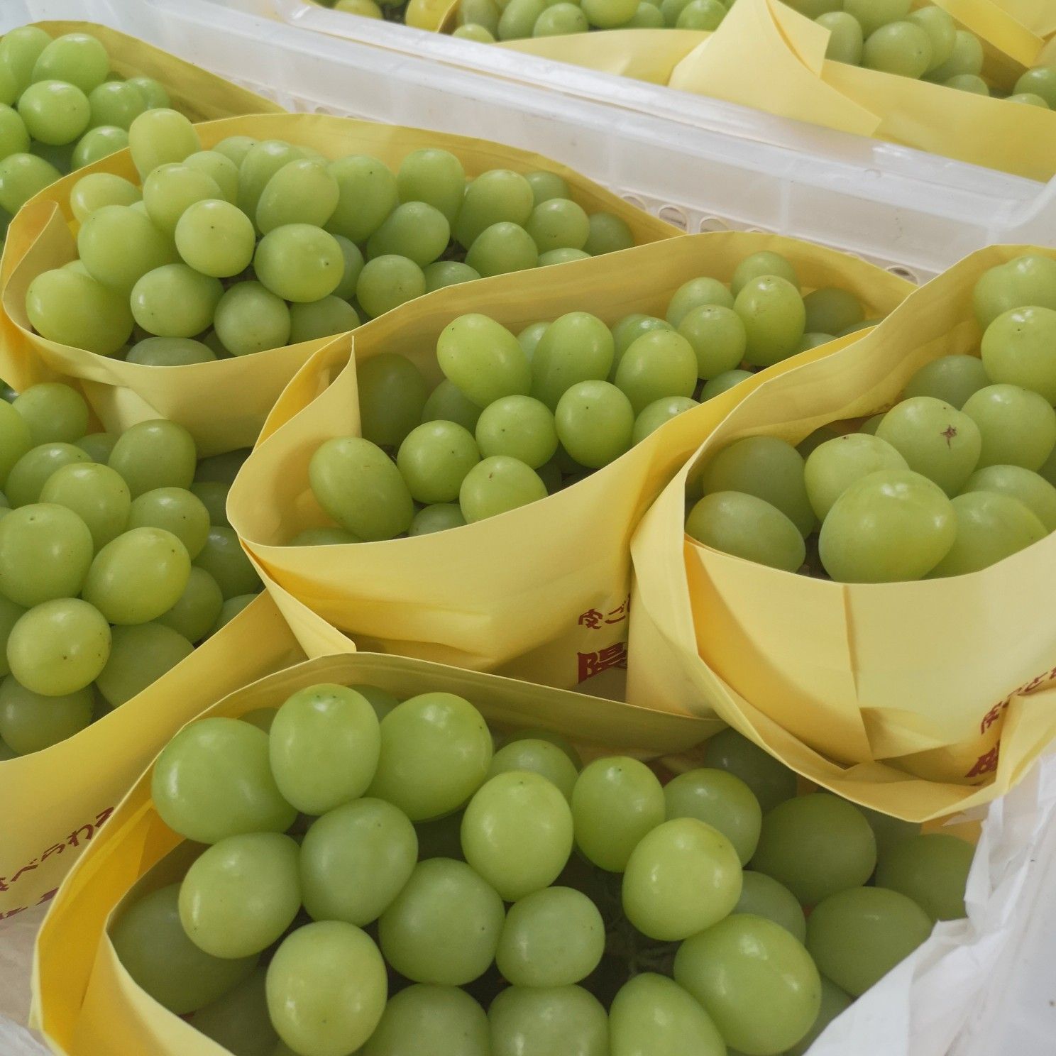 3e71511918134e9ebb48f947bd3125a0