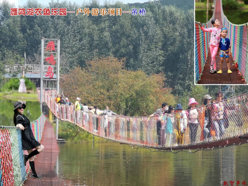 游乐项目-吊桥a