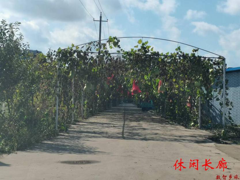 微信图片_20230830125854