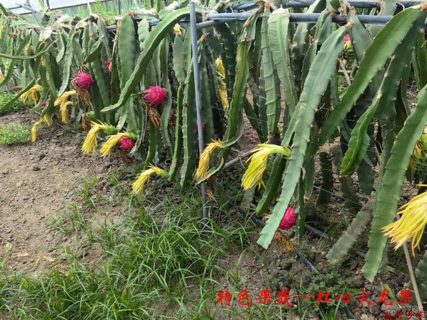 微信图片_20230830121218