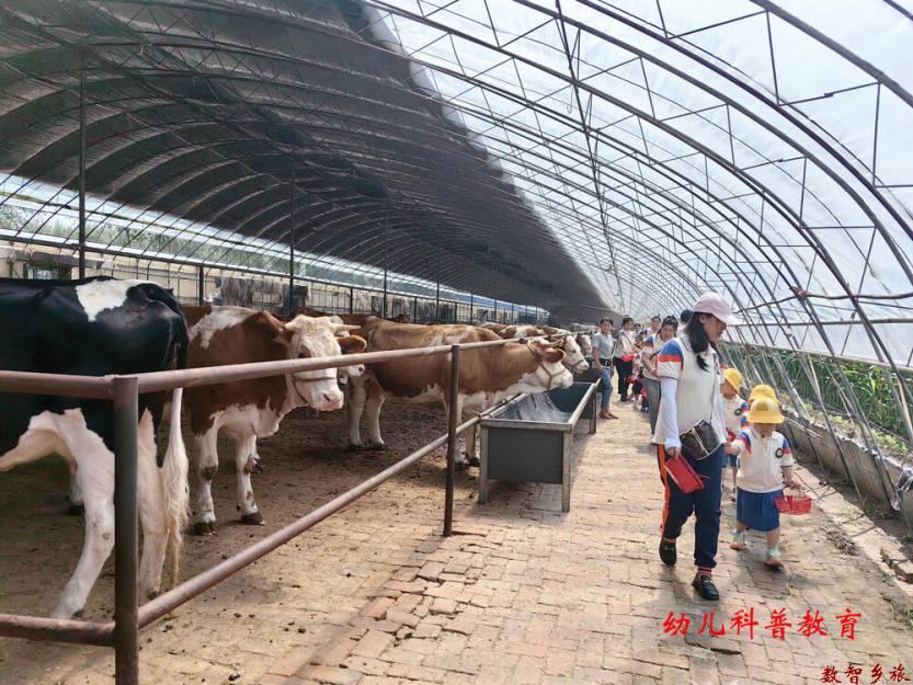 微信图片_20230829184256