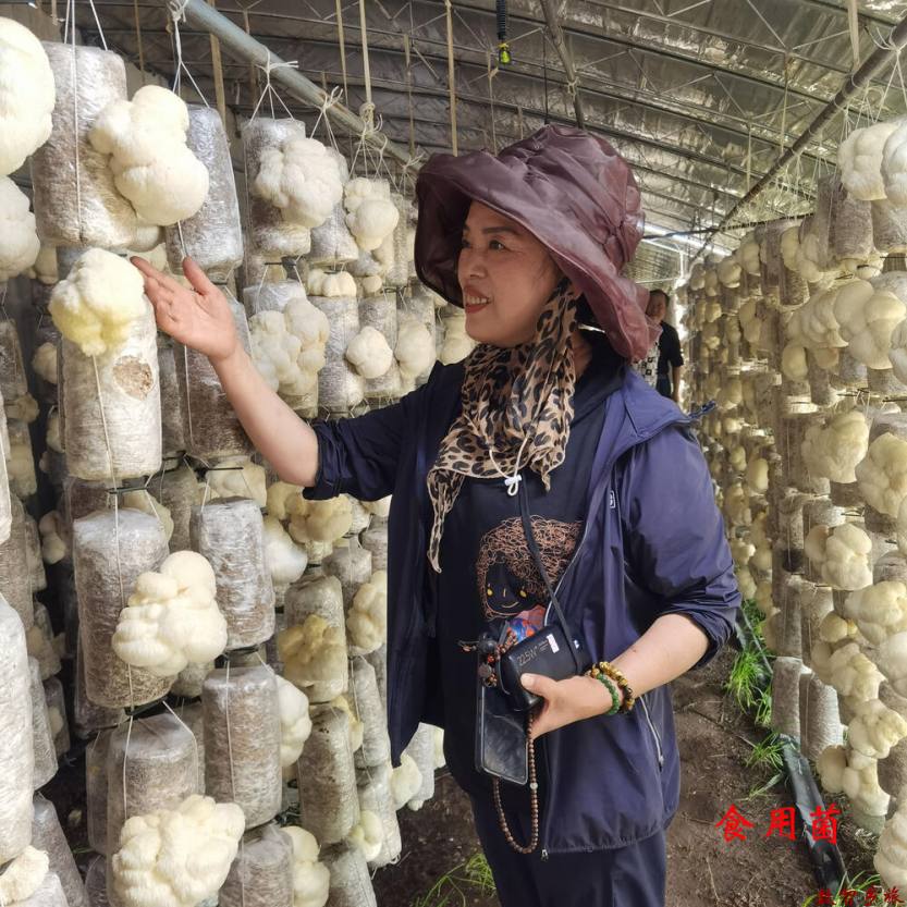 微信图片_20230829183328