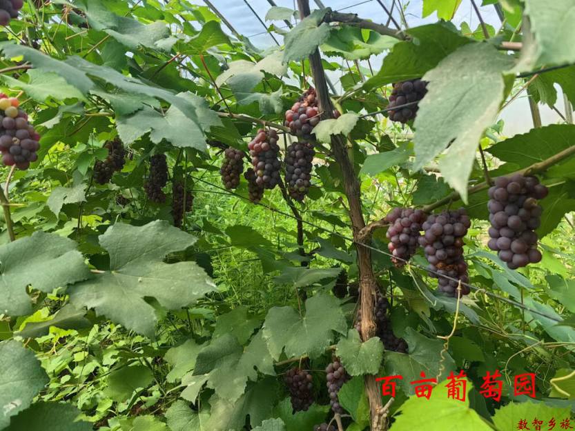 微信图片_20230830125900