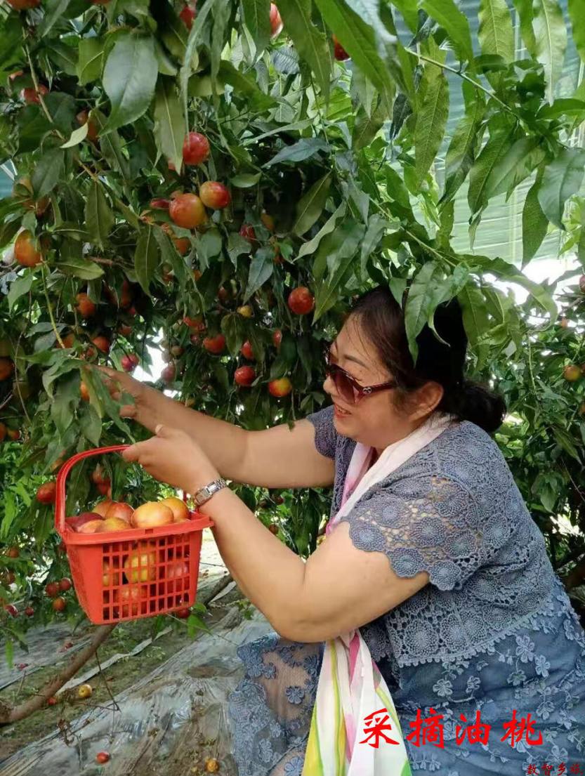 微信图片_20230830125903