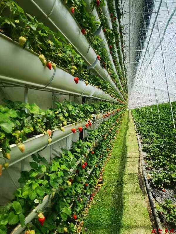 3359d73466be2ecbdb5fce578a3f7bd