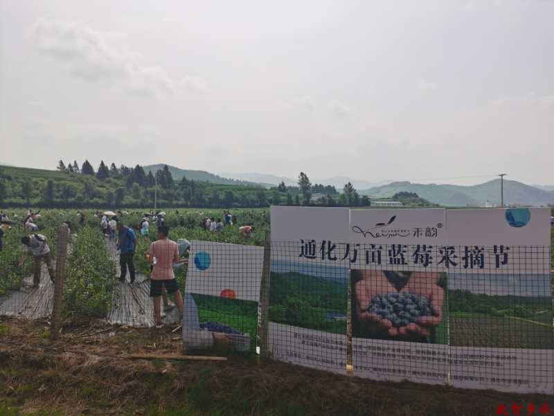 a2aca64b1db6b101a2ab27ccdbe4b3d