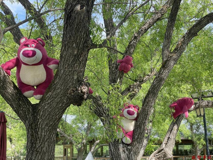 ca547ffe78bd7d4d6acab7ade9ddf37