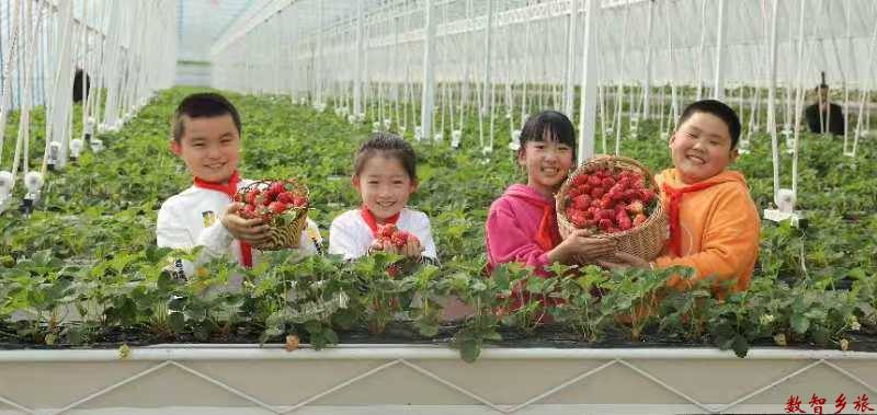 0c6df2ef52ea2ddaf31e3950e75fd26