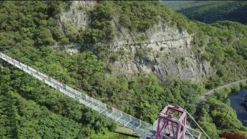 943d726976009611d3402034ed137e8