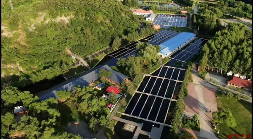 115995d1299b7c1f59255c4dbf0033f