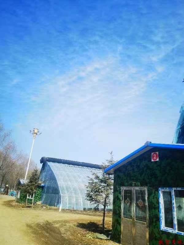 45f1e6faecd35941881e024f281af7e (1)